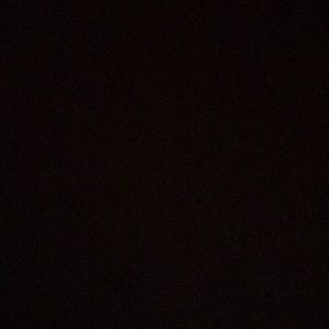 Meet your Posher, Dustin